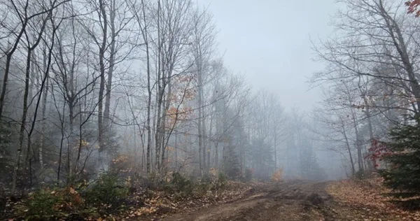 Efforts to contain two wildfires in the Upper Peninsula continue